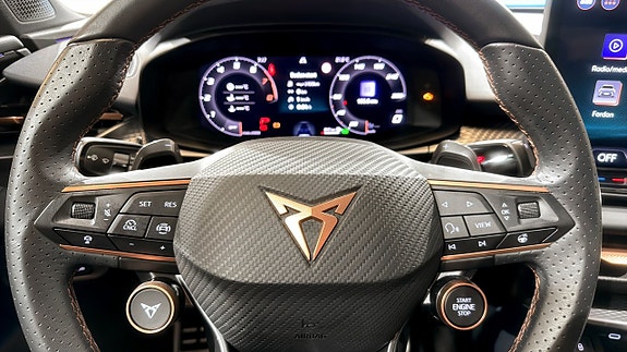 Cupra Terramar 19 of 22