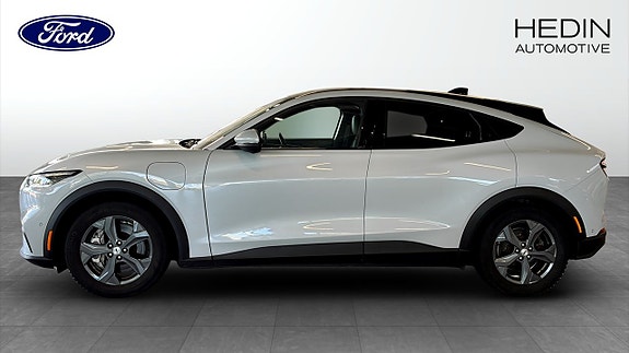 Ford Mustang Mach-E 6 of 11