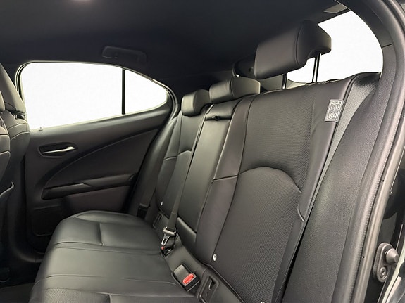 Lexus UX300e 17 of 30