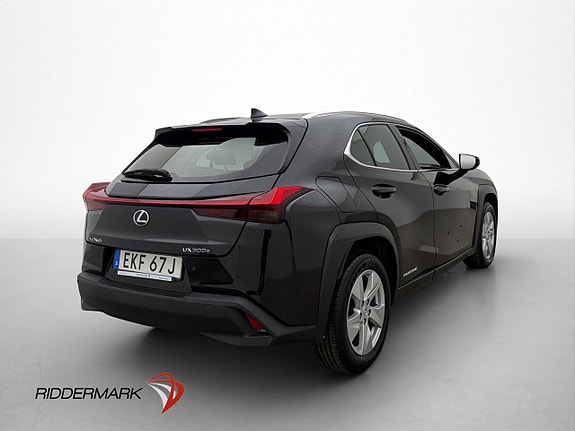 Lexus UX300e 9 of 30