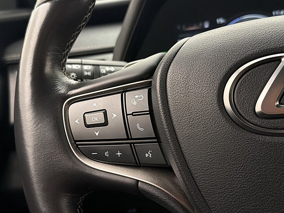 Lexus UX300e 19 of 30