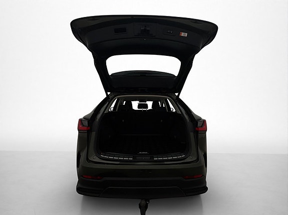 Lexus NX350h 10 of 30