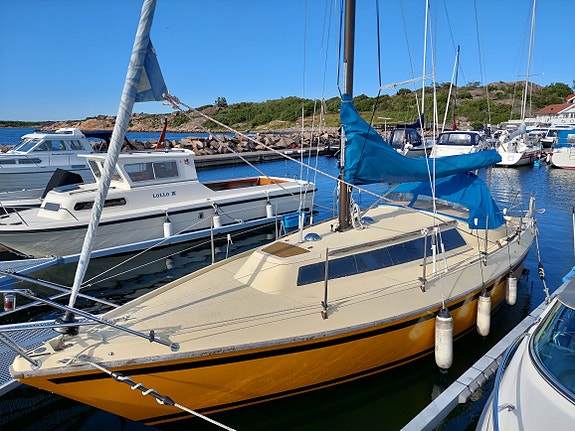 Polca 28 5 of 13