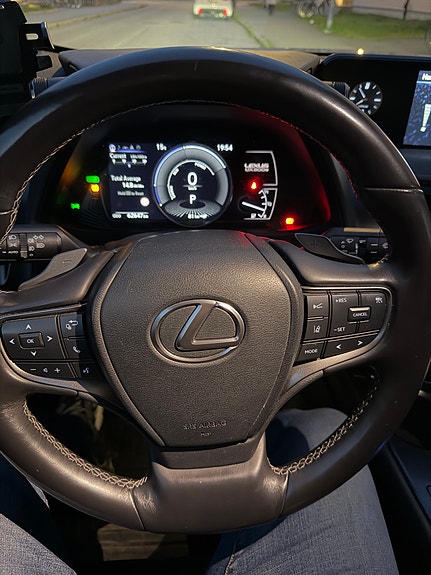 Lexus UX300e 10 of 16