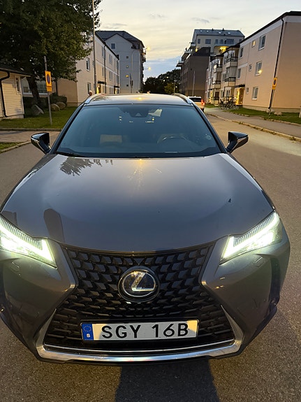 Lexus UX300e 12 of 16
