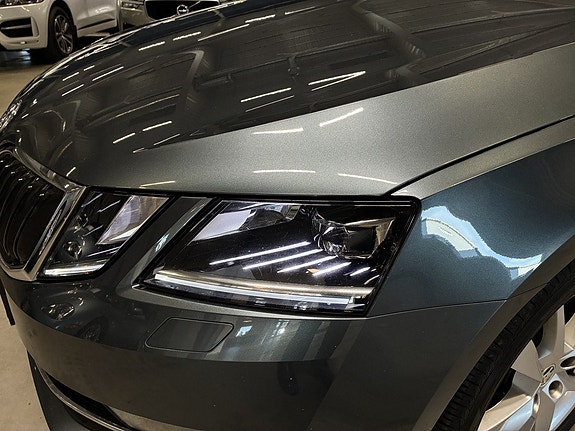 Skoda Octavia 9 of 19