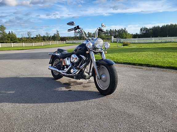 Harley-Davidson Fat Boy 4 of 4