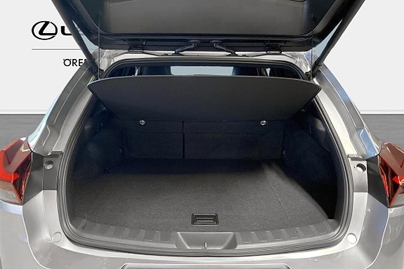 Lexus UX250h 10 of 11