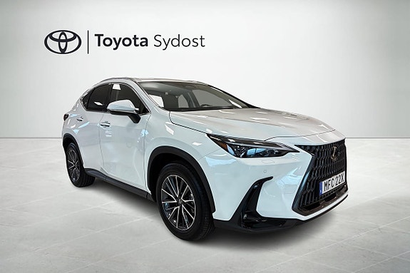 Lexus NX350h 18 of 18