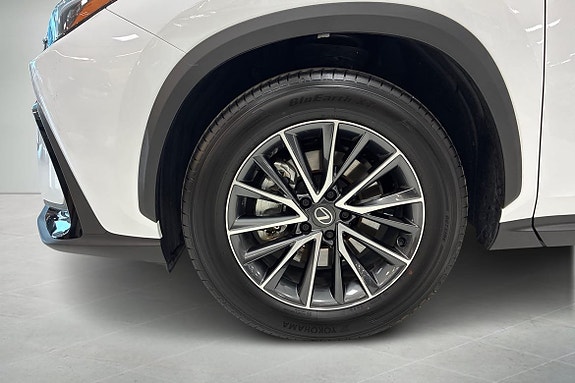Lexus NX350h 15 of 18