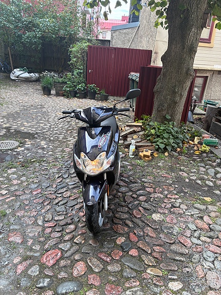 Yamaha 3 of 6