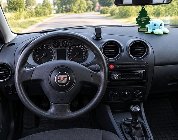 Seat Ibiza 4 of 4