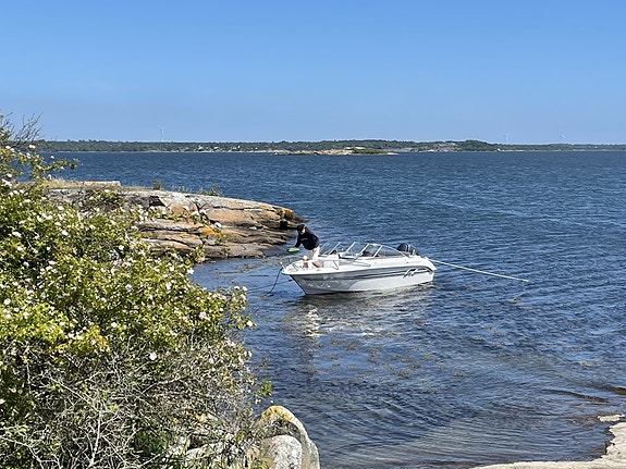 Finnmaster 55 BR 2014 | Yamaha F100 | Endast 1 ägare | 270 h 7 of 13