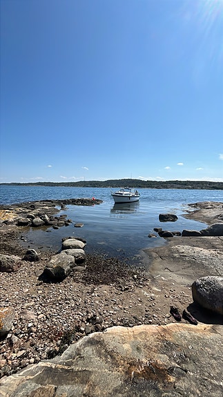 Albin 25 Deluxe "Maja" – Perkins M50, mycket utrustning 4 of 17