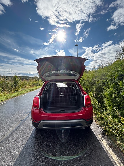 Fiat 500X 3 of 6
