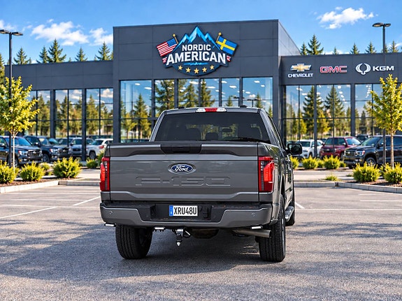 Ford F-150 5 of 17