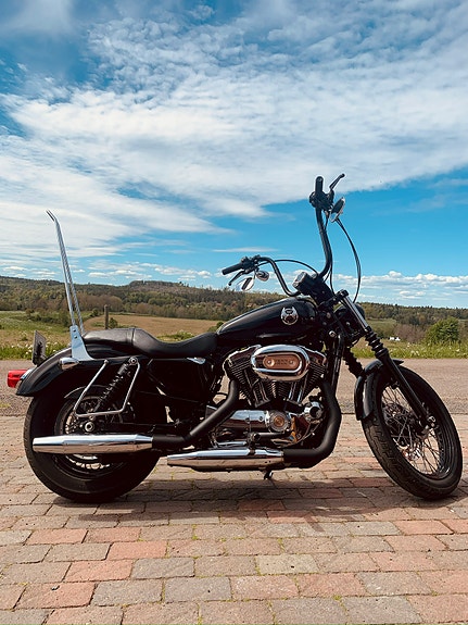 Harley-Davidson 1200 Custom 4 of 4