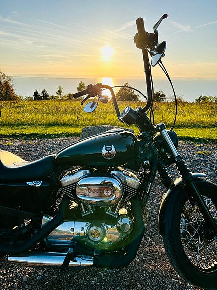 Harley-Davidson 1200 Custom 2 of 4
