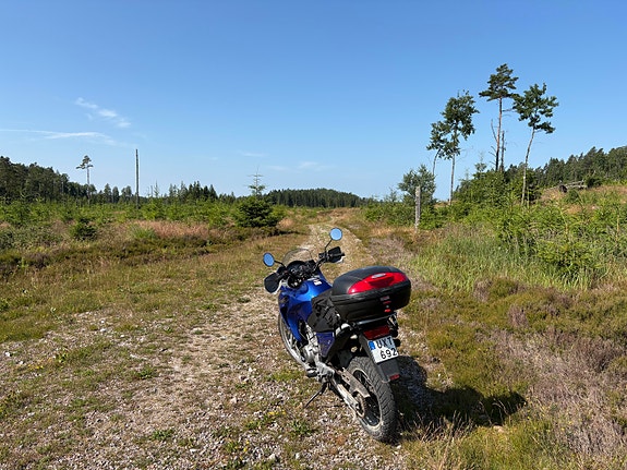Honda XL650V Transalp 10 of 11