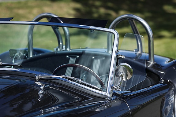 AC Cobra 16 of 27