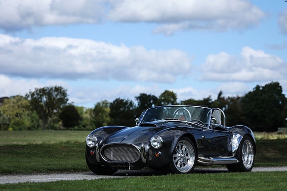 AC Cobra 14 of 27