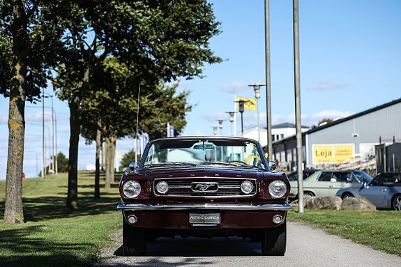 Ford Mustang 3 of 21