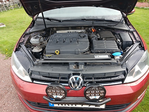 Volkswagen Golf VII 5 of 5
