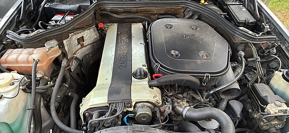 Mercedes-Benz 300 TE-24 5 of 7