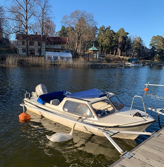 Svensk klassiker till höstpris 2 of 4
