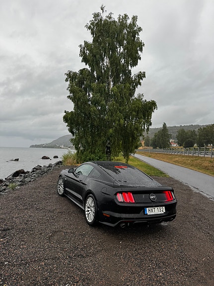 Ford Mustang 3 of 6