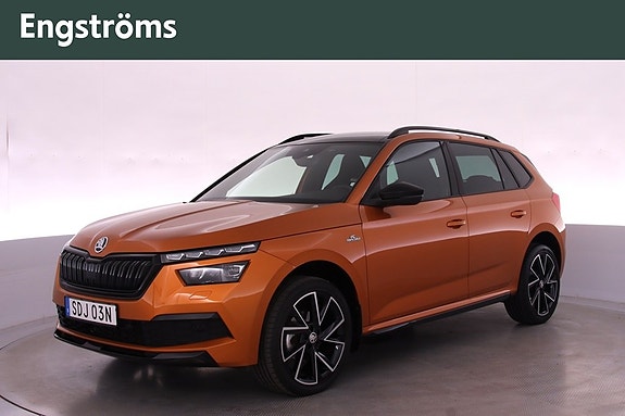 Skoda Kamiq 6 of 17