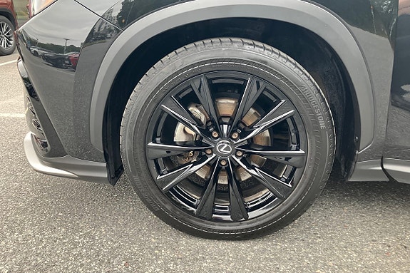Lexus NX350h 20 of 24