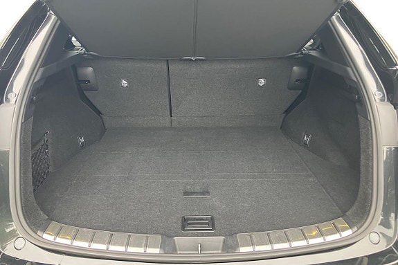 Lexus NX350h 18 of 24