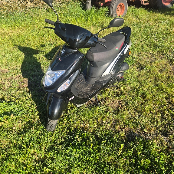 Viarelli Enzo 4 of 4
