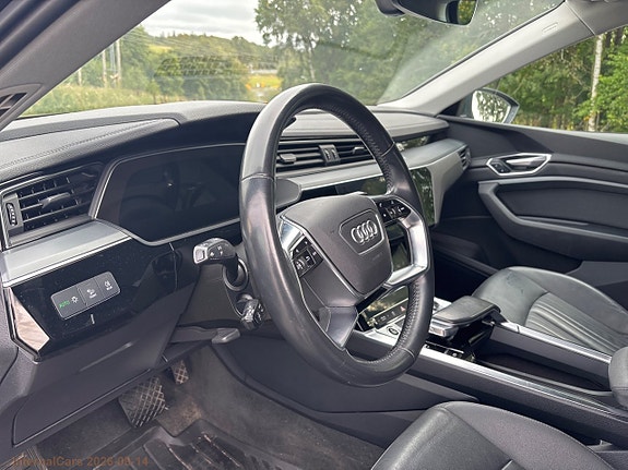 Audi e-tron 17 of 30