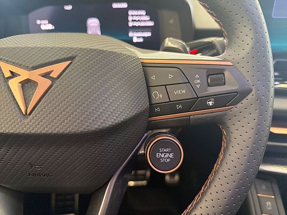Cupra Terramar 14 of 20