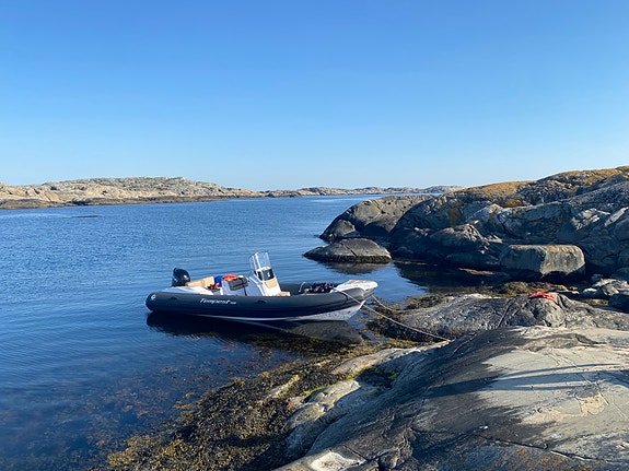 Capelli Tempest 700 SWE med Suzuki DF200-APX - Tuber i tåligt Hypalon 2 of 5