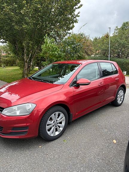 Volkswagen Golf VII 4 of 4