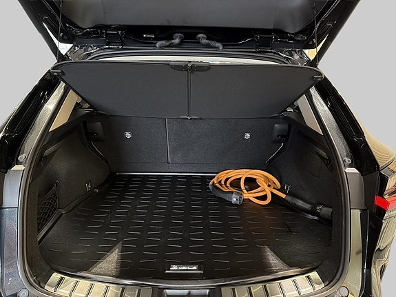 Lexus NX450h+ 10 of 15