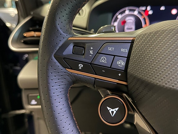 Cupra Terramar 19 of 24