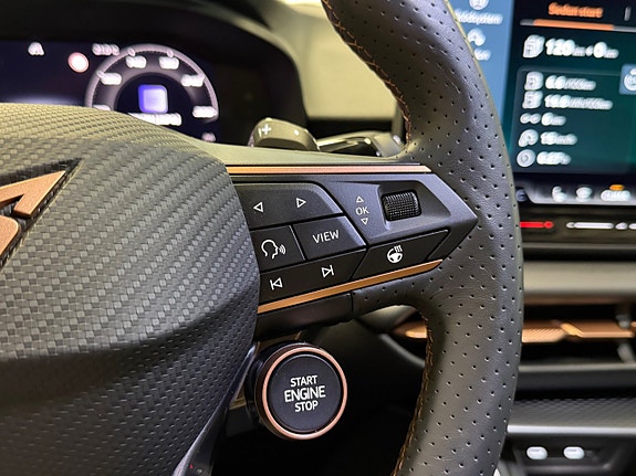 Cupra Terramar 20 of 24