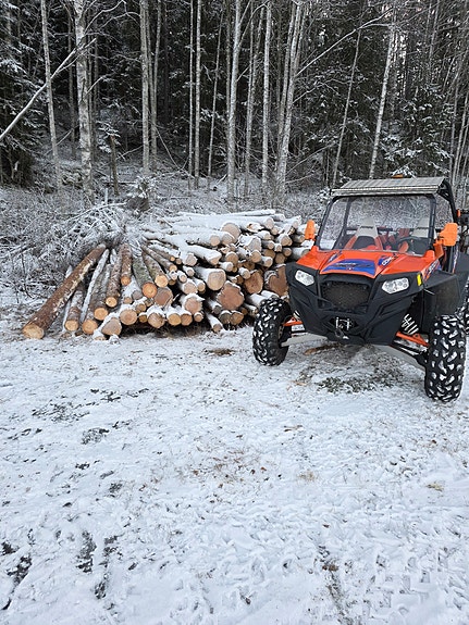 Polaris RZR 900 2 of 5