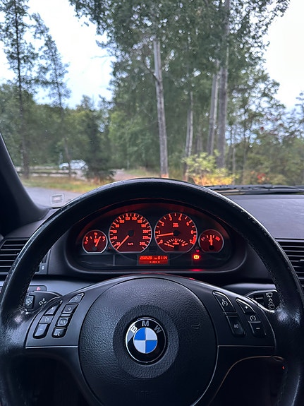 BMW 316i 13 of 16