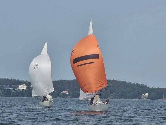 Albin Express SWE 169 – kappseglingsutrustad & komplett 9 of 12
