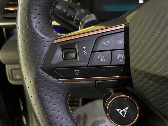 Cupra Terramar 15 of 18