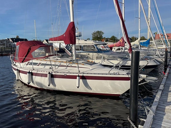 Mamba 29 — Vedi foto 1