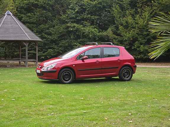 Peugeot 307 15 of 22