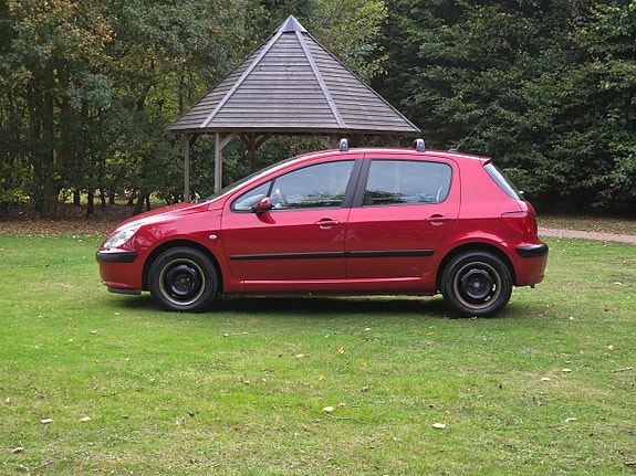 Peugeot 307 14 of 22