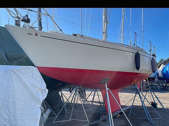 Scampi 30 MK IV — Vedi foto 1