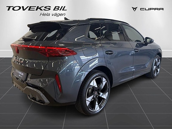 Cupra Terramar 3 of 19